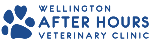 Wellington After-Hours Vet Clinic